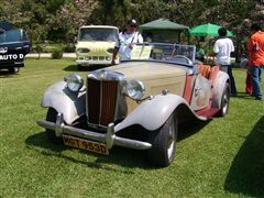 MG TD - MG TD