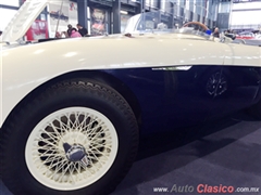 Salón Retromobile FMAAC México 2015 - Austin Healey 100/S Sebring 1955