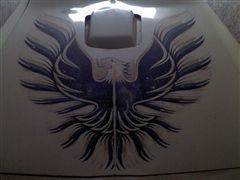 Fotos de pontiac trans am 1980 firebird