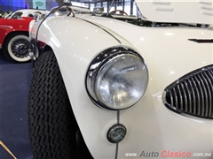 Salón Retromobile FMAAC México 2015 - Austin Healey 100/S Sebring 1955