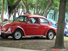 Regio Volks 2015 - Imágenes del Evento - Parte IV