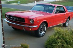 FORD MUSTANG - FORD MUSTANG