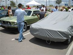 RESTAURACION DE MI MUSTANG 1965 - Destape del mustang