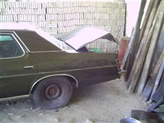 MI JUGUETITO FORD LTD 75 - PINTURA