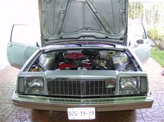 Mi Buick Skylark 81 - Mi Buick Skylark 81