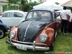 Regio Volks 2015 - Imágenes del Evento - Parte IV