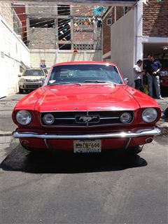 Mustang 65 - Mustang 65