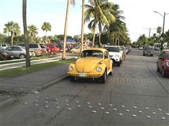 VW Super Beetle 70 -- Renato Hdez - VW Super Beetle 70 -- Renato Hdez