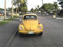 VW Super Beetle 70 -- Renato Hdez - VW Super Beetle 70 -- Renato Hdez