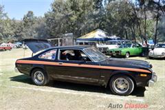 1980 Dodge Super Bee