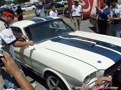 25 Aniversario Museo del Auto y del Transporte de Monterrey - Ford Mustang Shelby GT 350 1966