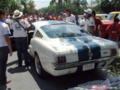 25 Aniversario Museo del Auto y del Transporte de Monterrey - Ford Mustang Shelby GT 350 1966