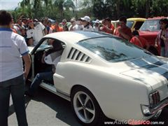 25 Aniversario Museo del Auto y del Transporte de Monterrey - Ford Mustang Shelby GT 350 1966