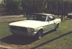 Exhibición Mustang Club Monterrey 2003