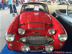 Austin Healey 3000