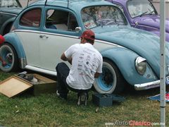 Regio Classic VW 2011 - Puro amor