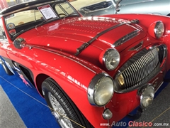 Austin Healey 3000