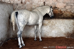 11a Ruta Zacatecana - Hacienda De Don Antonio Aguilar