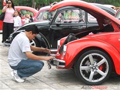 Regio Classic VW 2011 - Puro amor