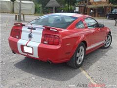 Mis Potros - 2007 Mustang GT300