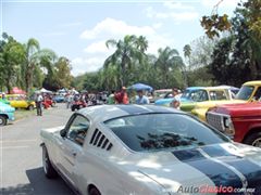 25 Aniversario Museo del Auto y del Transporte de Monterrey - Ford Mustang Shelby GT 350 1966