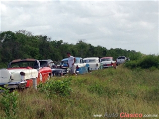 Rally Maya 2016 - Event Images - Part I | 