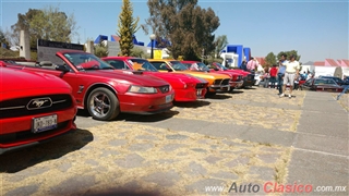 8o Aniversario Amigos del Mustang Toluca - Imágenes del Evento - Parte I | 
