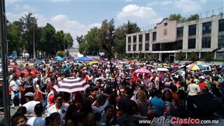 Bazar de la Carcacha - Iztacalco - Event Images I | 