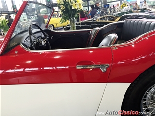 Salón Retromobile FMAAC México 2015 - Austin Healy 3000 1957 | 