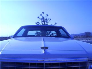 Caprice Classic Landau 1981 | 