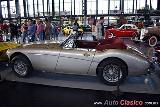 Salón Retromobile 2019 "Clásicos Deportivos de 2 Plazas" - Imágenes del Evento Parte III | 1967 Austin Healey 3000 BJ8 MKIII Motor 6L de 3000cc 150hp