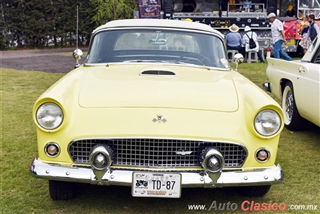 XXXI Gran Concurso Internacional de Elegancia - Event Images - Part II | 1955 Ford Thunderbird