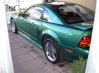 Mustang | 