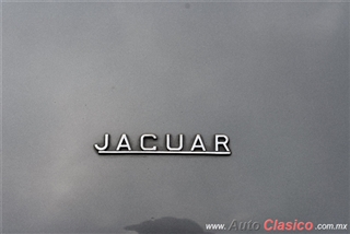 XXXI Gran Concurso Internacional de Elegancia - Imágenes del Evento - Parte X | 1961 Jaguar XKE Serie I