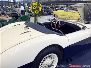 Salón Retromobile FMAAC México 2015 - Austin Healey 100/S Sebring 1955 | 