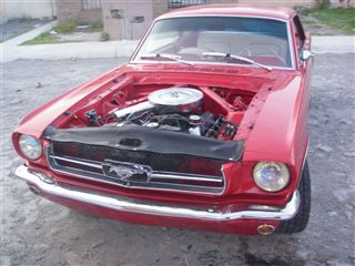 Poderoso Ford Mustangsisimo 1965 | 