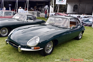 XXXI Gran Concurso Internacional de Elegancia - Imágenes del Evento - Parte X | 1964 Jaguar XKE Serie 1.5 2 2