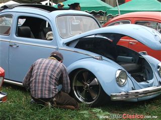 Regio Classic VW 2011 - Puro amor | 