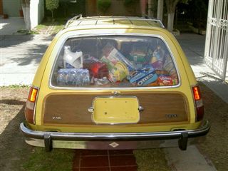 Pacer Wagon 1977 | 