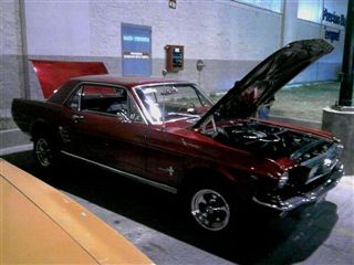 Mustang 1966 | 