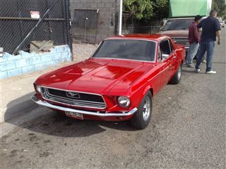 mustang 68 charly | 