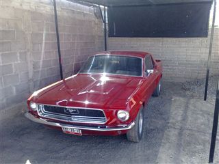 mustang 68 charly | 