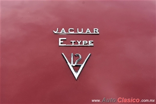 XXXI Gran Concurso Internacional de Elegancia - Imágenes del Evento - Parte X | 1974 Jaguar XKE Serie III OTS