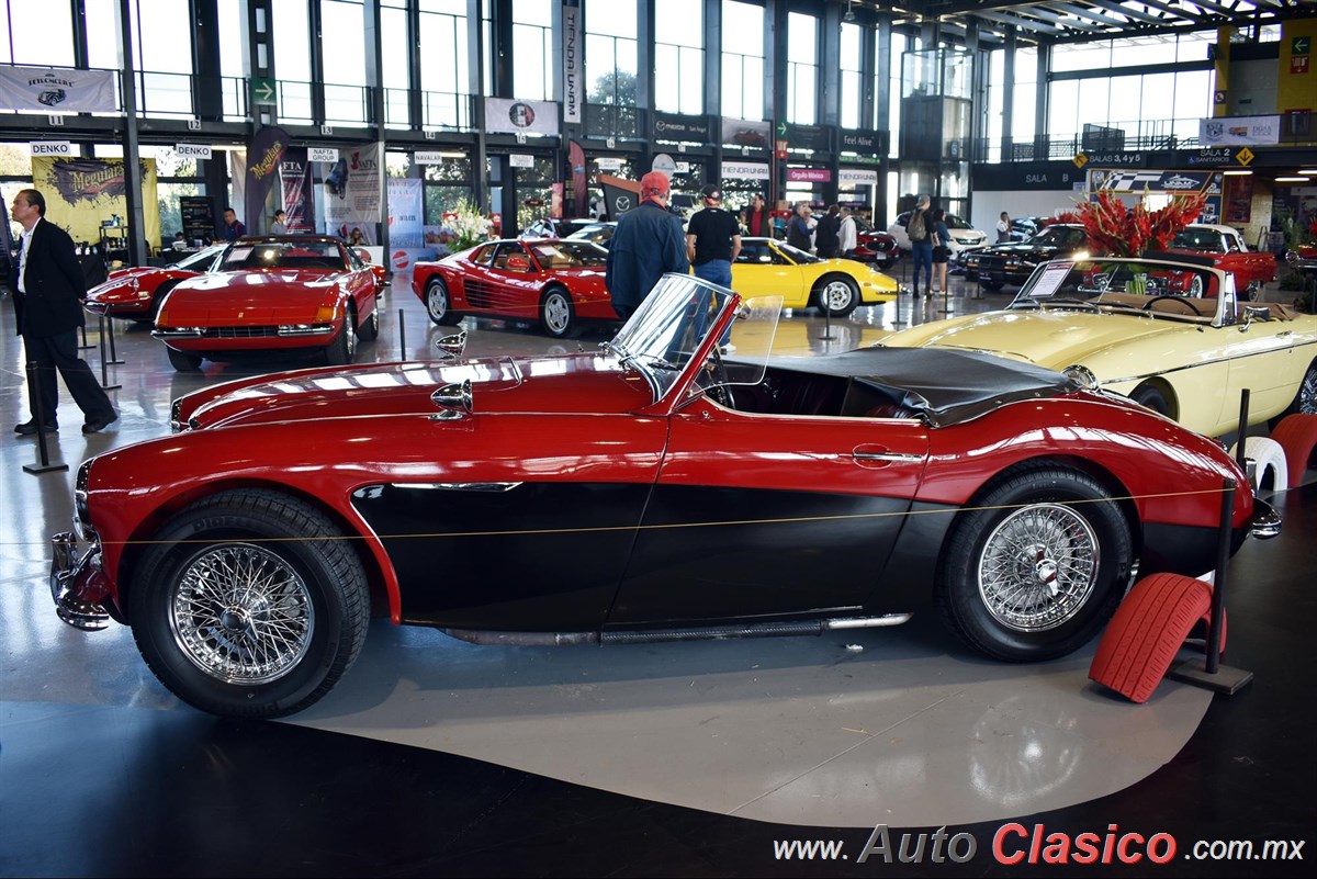 1962 Austin Healey 3000 MKII Motor 6L de 3000cc 136hp