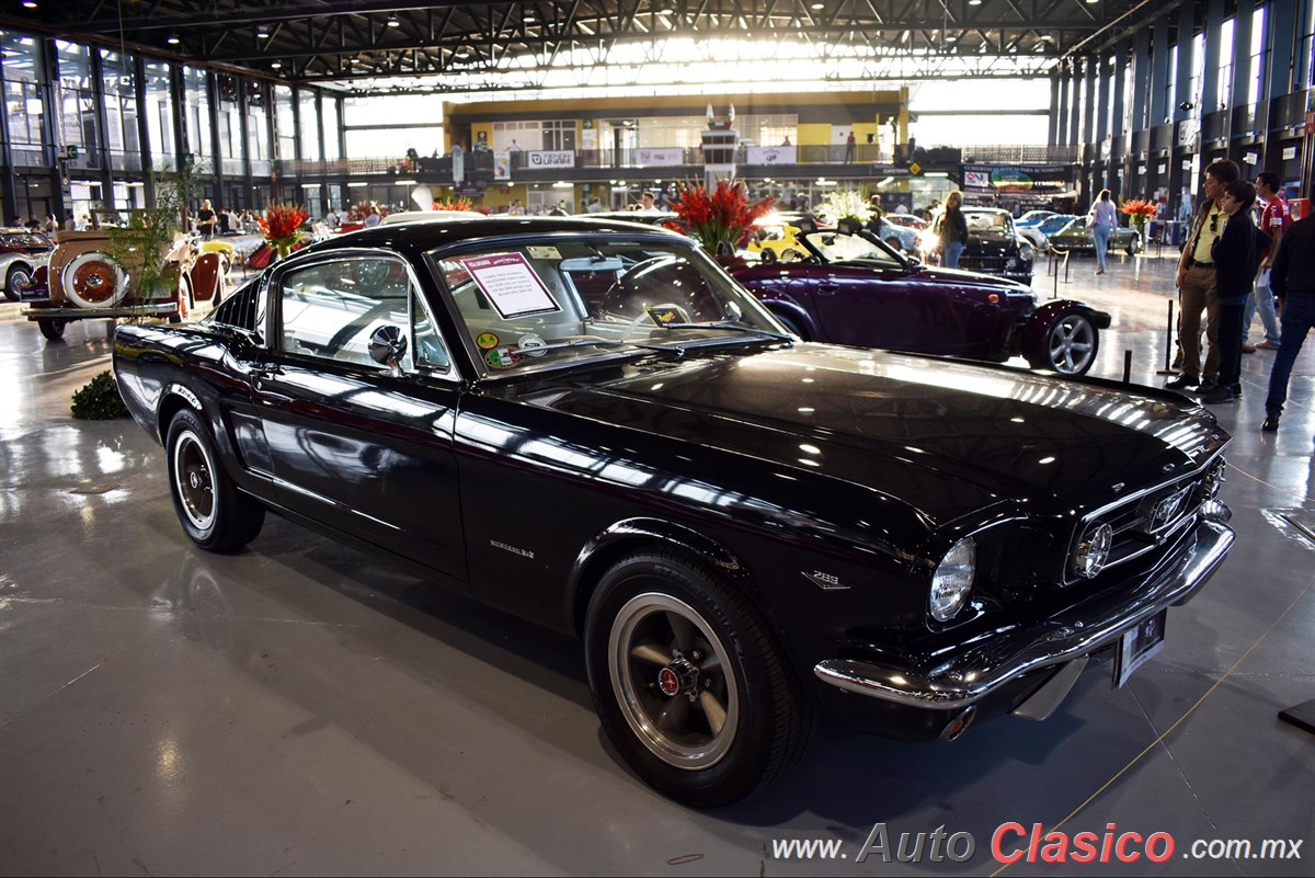 1965 Ford Mustang Motor V8 289ci 200hp