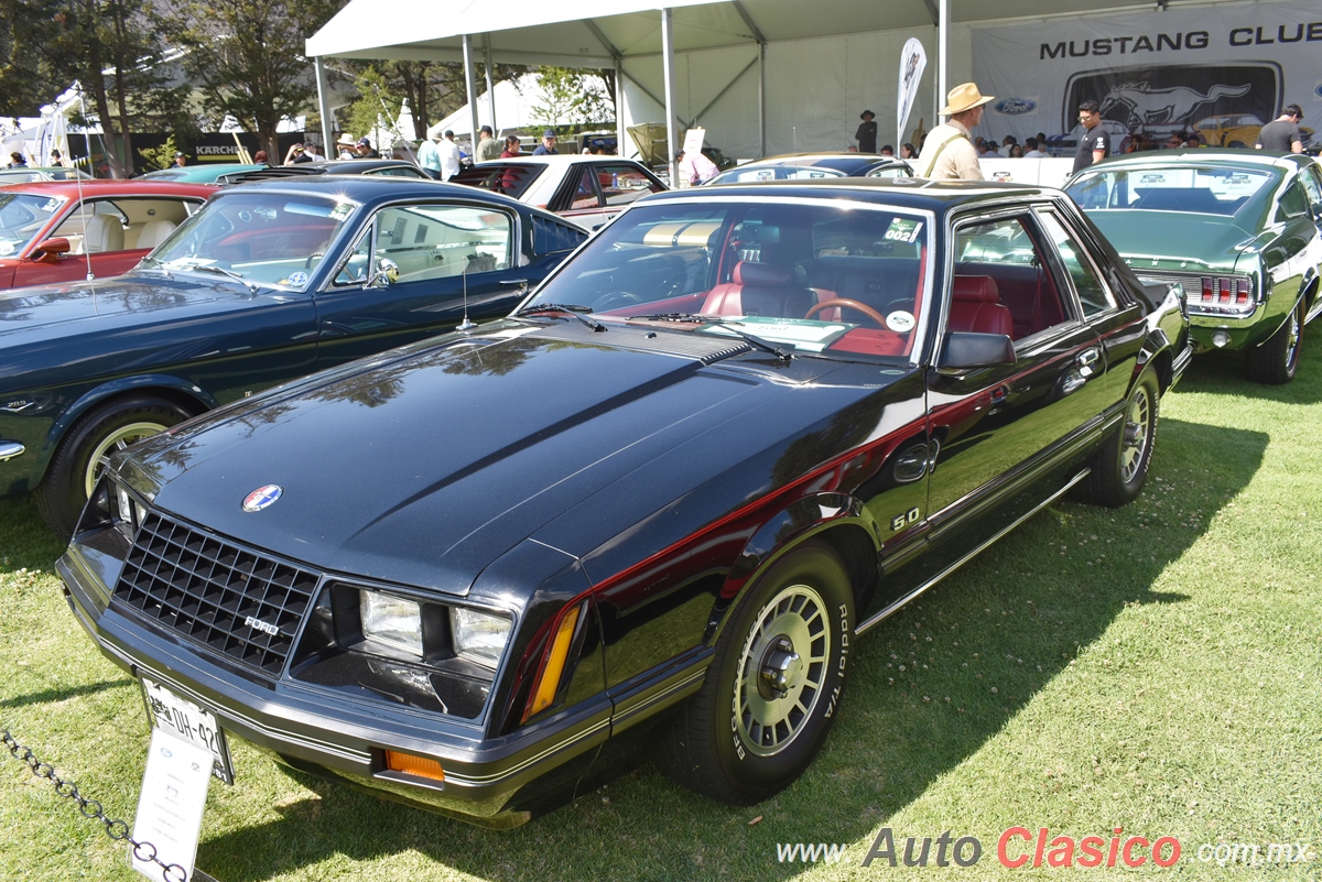 1981 Ford Mustang