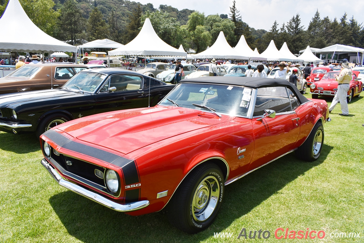 Chevrolet Camaro Convertible