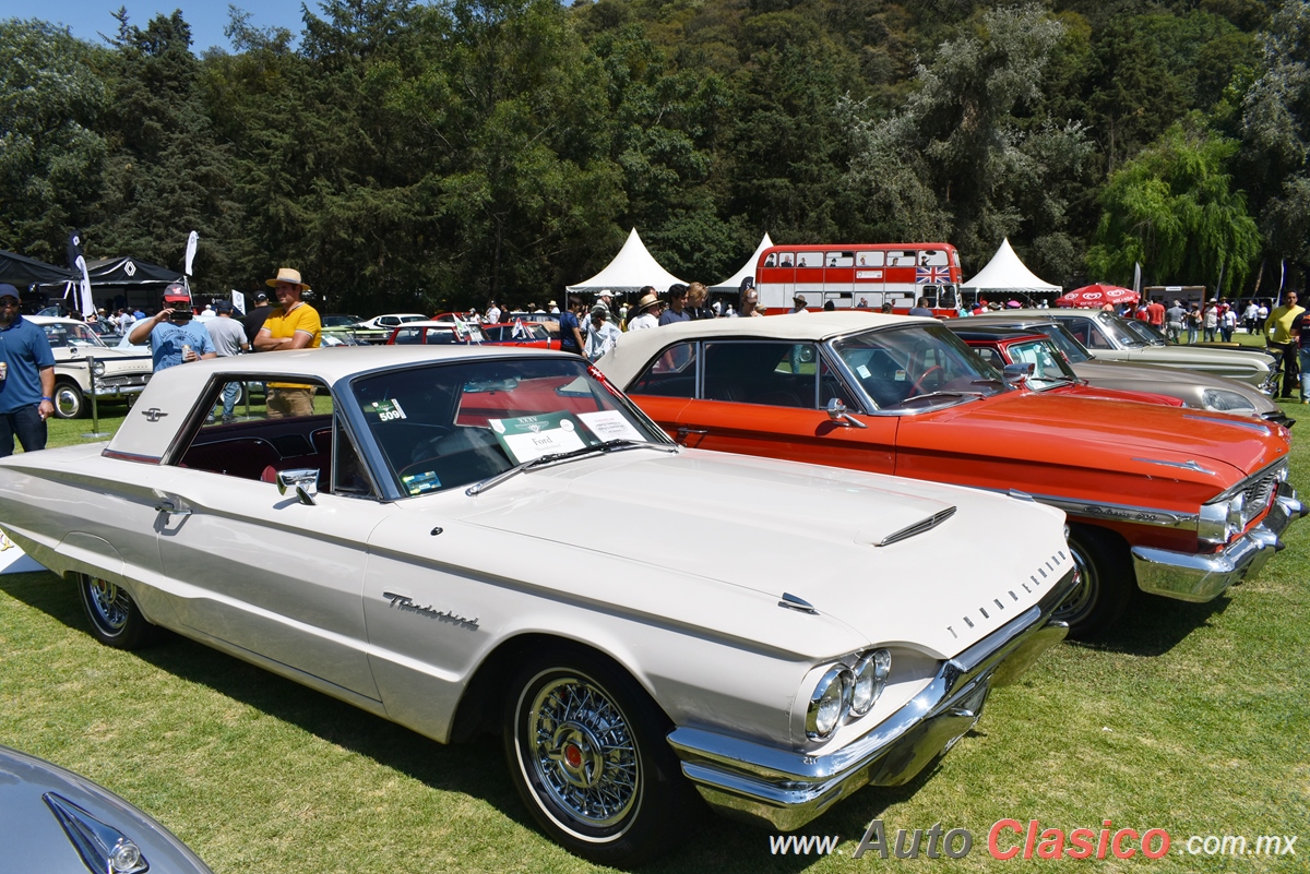 1964 Ford Thunderbird