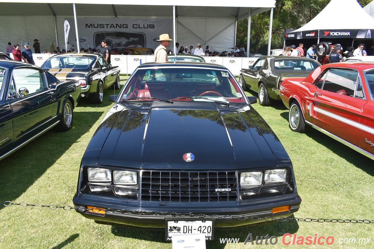 1981 Ford Mustang