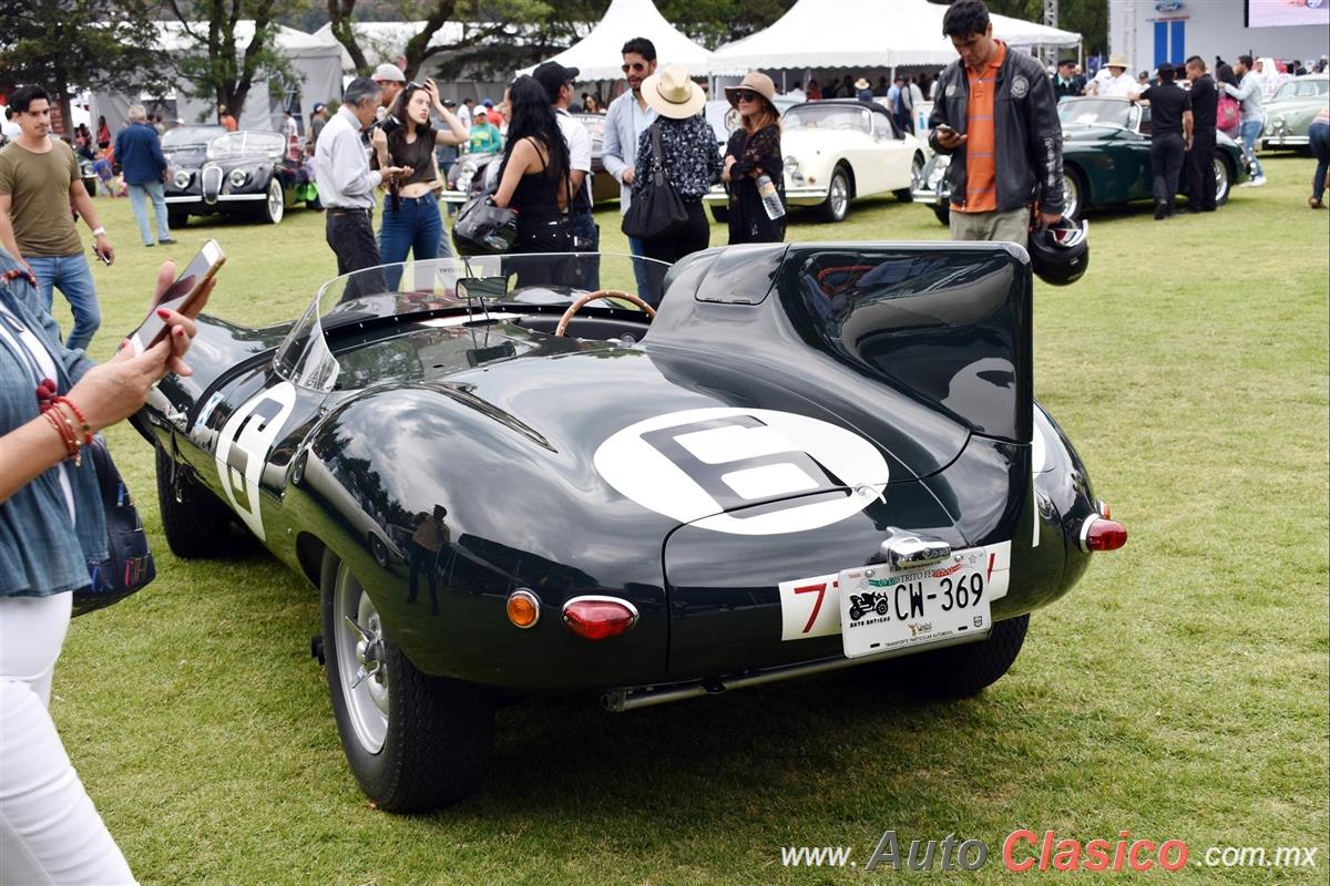 1957 Jaguar D Type